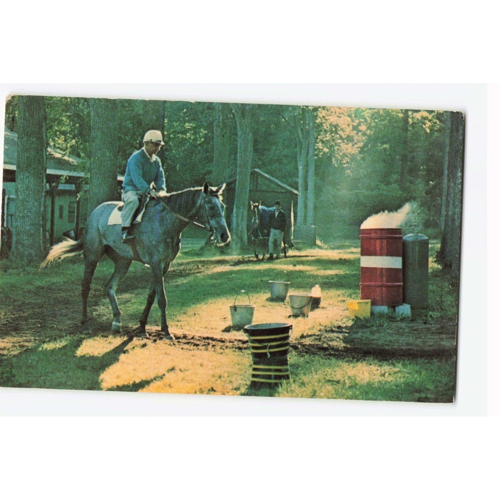 Vintage Saratoga Race Track Postcard Horse Haven Exercise Boy 1972 Postmark